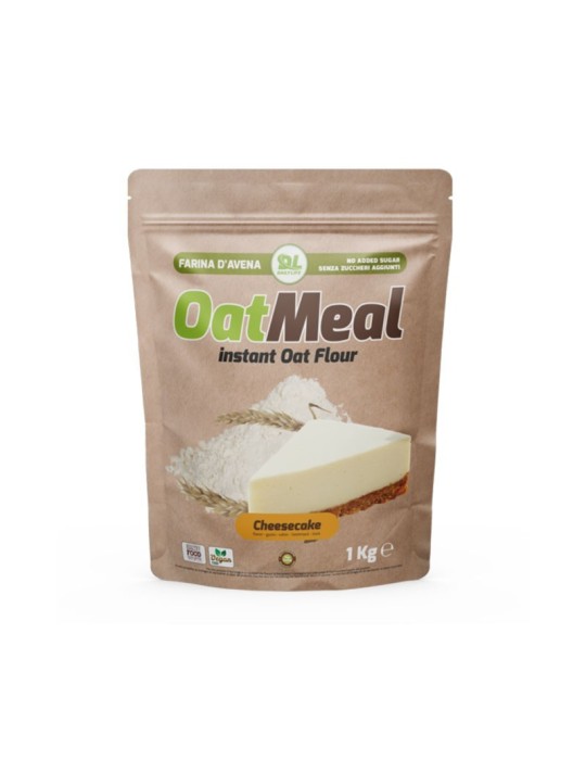 Daily Life OatMeal Instant Cheesecake 1Kg